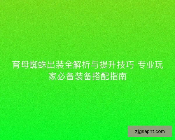 育母蜘蛛出装全解析与提升技巧 专业玩家必备装备搭配指南