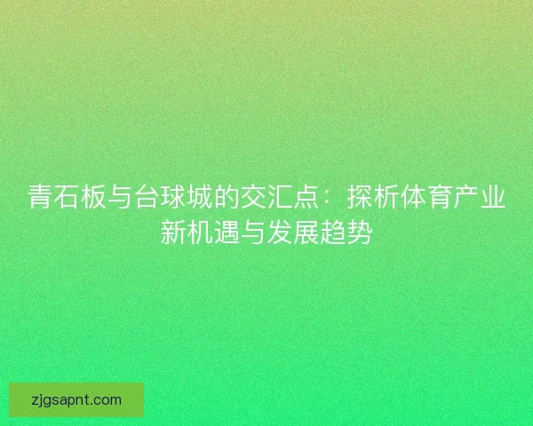 青石板与台球城的交汇点：探析体育产业新机遇与发展趋势